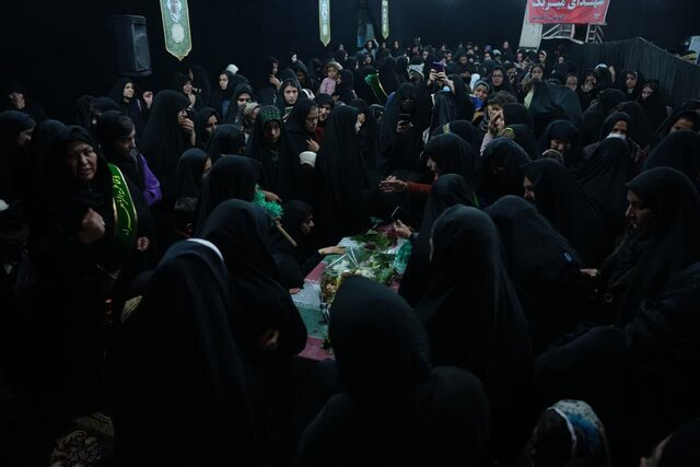 تصاویری از شبی با لالههای فاطمی در بخش میربگ شهرستان دلفان