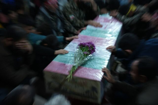 تصاویری از شبی با لالههای فاطمی در بخش میربگ شهرستان دلفان