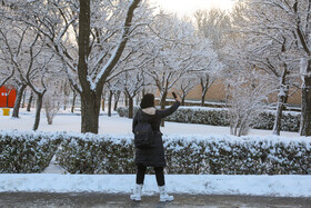 بارش اولین برف سال ۱۴۰۲ در اردبیل