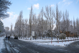 بارش اولین برف سال ۱۴۰۲ در اردبیل