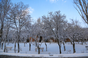 بارش اولین برف سال ۱۴۰۲ در اردبیل