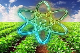 ضرورت بهره‌گیری از فناوری هسته‌ای برای افزایش تولیدات کشاورزی