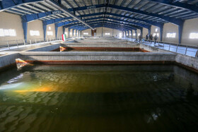 بازدید خبرنگاران از تصفیه خانه شیخی جان - همدان