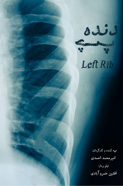 از پیام محمد خزاعی تا جزییاتی از چند فیلم جشنواره حقیقت