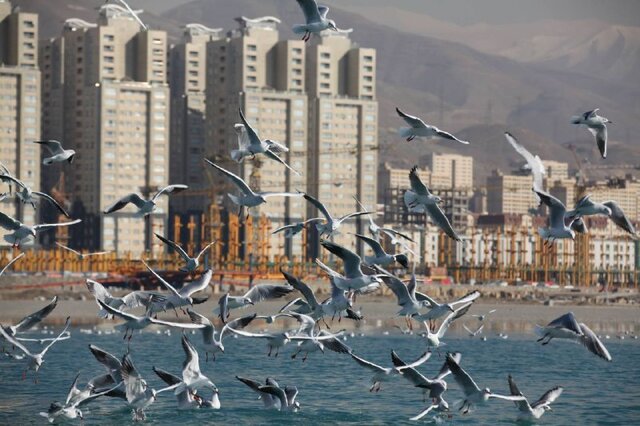 طبیعت پایتخت در دل محبوبترین و قدیمیترین بوستانهای تهران