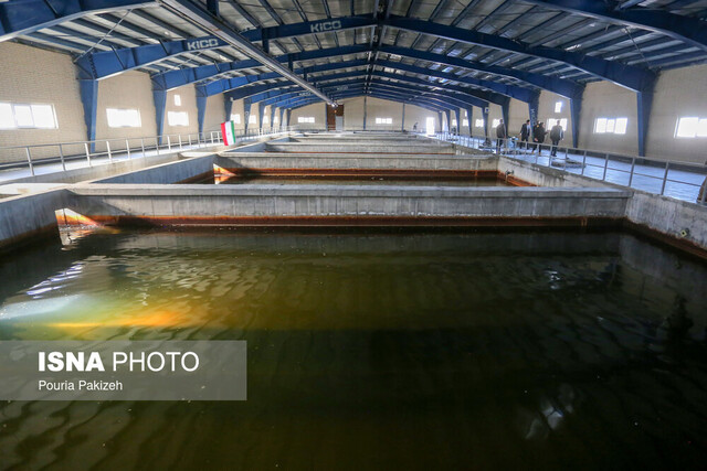 عکس تزئینی است هدررفت ۲۲ درصدی آب در تهران/ آخرین وضعیت تصفیهخانههای «خرگوشدره» و «شهر آفتاب»