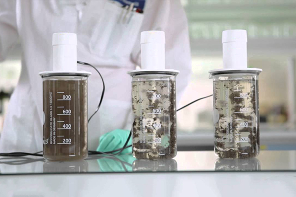 تفاوت پلی الکترولیت کاتیونی و آنیونی