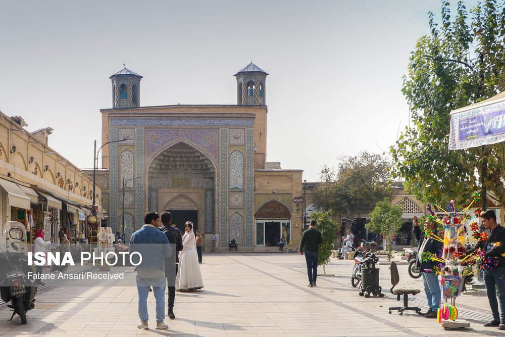 وکیل رنگارنگ شیراز