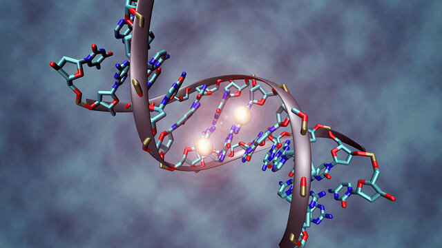 آشنایی با نانوساختار DNA