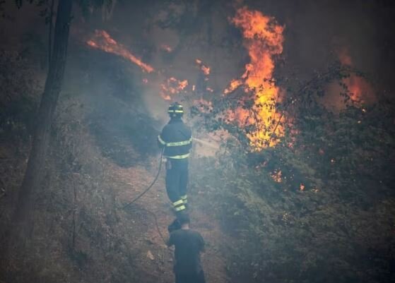 عکس تزئینی است استرالیا زیر موج گرما ذوب میشود