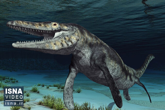 ویدیو/ کشف «اژدهای آبی» ۷۲ میلیون ساله در ژاپن ویدیو/ کشف «اژدهای آبی» ۷۲ میلیون ساله در ژاپن