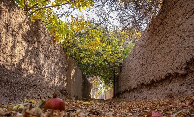عکس تزئینی ست از کاوش در کوچههای «نپنی» تا صادراتِ فرا قارهای