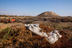 ضرغامی معتقد است: محوطه ازبکی باید به یکی از سایت موزههای مطرح گردشگری کشور تبدیل شود که در این زمینه در کنار حمایت وزارتخانه به کمک نهادهای محلی هم امیدواریم.
وزیر میراث فرهنگی گفته: تبدیل این محوطه به سایت موزه در اولویت وزارت میراث فرهنگی است ولی باید برای اینکه چه تاسیسات و چه آثاری در آن به نمایش گذاشته شود بررسی جامعی صورت داد.