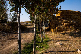 محوطه باستانی ازبکی، بخشی از زمین‌های کشاورزی یکی از کشاورزان روستای ازبکی در شهرستان نظرآباد استان البرز است. عبدالمحمود خراسانی بعد از این که متوجه شد این زمین‌ها از نظر تاریخی ارزشمندند، مناطقی که باستان‌شناسان در آن‌ها نشانه‌های تاریخی به دست آورده بودند را به میراث فرهنگی هبه کرد، تا بررسی و مطالعات باستان شناسی در این محوطه‌ها راحت‌تر و سریع‌تر انجام شود.

علاوه بر این اتفاق توسط این خیر میراث فرهنگی، او وظیفه حفاظت از این محوطه تاریخی را برای همیشه نیز برعهده گرفته است.
