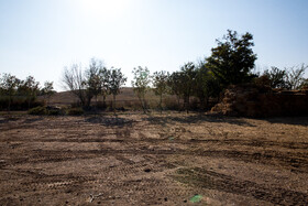 محوطه باستانی ازبکی، بخشی از زمینهای کشاورزی یکی از کشاورزان روستای ازبکی در شهرستان نظرآباد استان البرز است. عبدالمحمود خراسانی بعد از این که متوجه شد این زمینها از نظر تاریخی ارزشمندند، مناطقی که باستانشناسان در آنها نشانههای تاریخی به دست آورده بودند را به میراث فرهنگی هبه کرد، تا بررسی و مطالعات باستان شناسی در این محوطهها راحتتر و سریعتر انجام شود.