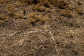 با گذشت بیش از یک دهه از حضور تیم کاوش یوسف مجیدزاده در تپه ازبکی، در فصل مطالعات باستانشناسی، نخست روحالله یوسفی زشک، برای تعیین عرصه و حریم محوطه به ازبکی آمد و در فصل هشتم کاوشها نیز تیم مهرداد ملکزاده، برای کاوش در محوطه «دوشان تپه» به این محوطه باستانی آمدند.