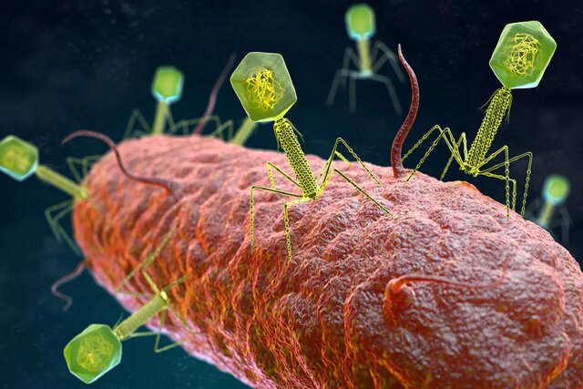عکس تزئینی است چگونه به شکلی آرام و ملایم، ژنی را وارد DNA باکتری کنیم؟