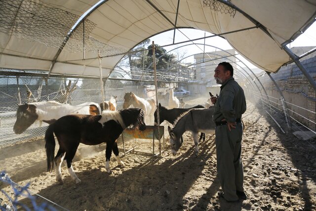 این مرد ۷۰۰ حیوان در خانهاش نگهداری میکند؛ از پلیکان بادیگارد تا ببر سیبری!