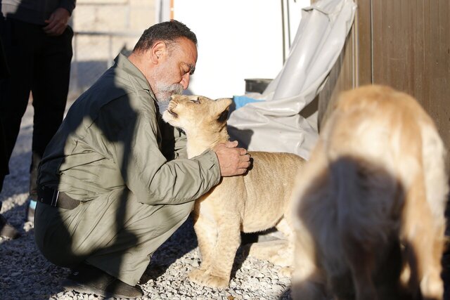 این مرد ۷۰۰ حیوان در خانهاش نگهداری میکند؛ از پلیکان بادیگارد تا ببر سیبری!