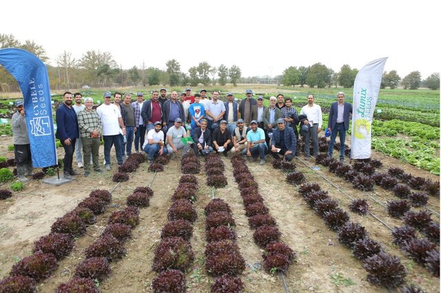 تجاریسازی و شکست انحصار بذور خالص هیبریدی از سوی فناوران کشور/اجاره ۲ میلیاردی مزارع تحقیقاتی