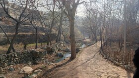 تکمیل اکوپارک فرحزاد/توسعه مسیر پیاده روی به سمت برج میلاد