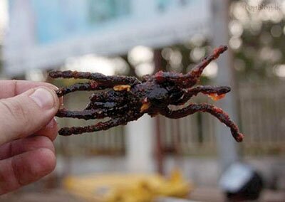 صبحانه شن، ناهار گازوئیل و شام آجر!