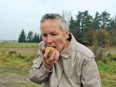 صبحانه شن، ناهار گازوئیل و شام آجر!