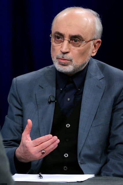 صالحی: سردار سلیمانی نماد یک نظامی باتجربه و دولتمردی حکیم بود