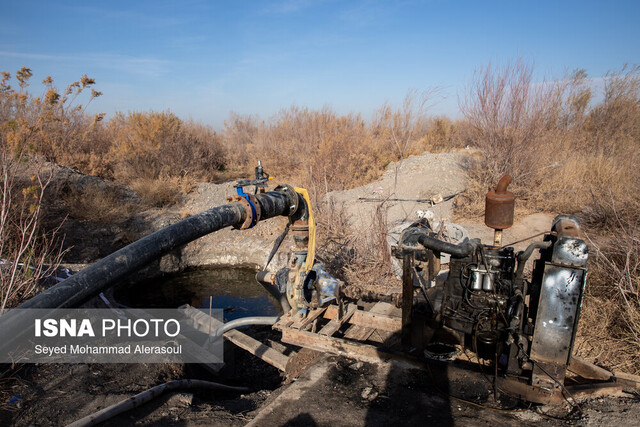 فضای سبز و انتخاب گیاهانمان باید متناسب با اقلیم ۲۰۵۰ باشد