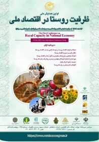 برگزاری همایش «ظرفیت روستا در اقتصاد ملی» 