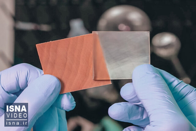 ویدیو/ «چوب شفاف»، جایگزین نمایشگر فعلی گوشیها! ویدیو/ «چوب شفاف»، جایگزین نمایشگر فعلی گوشیها!