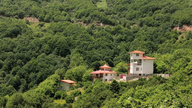 حمل چوب آلات، بدون مجوز به منزله قاچاق است