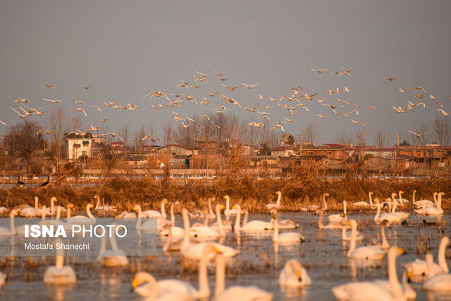 تالابهایی بدون آب