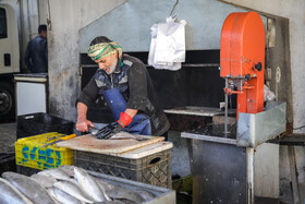 بازار ماهی فروشان در شهرک عرب‌ها مشهد