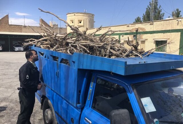 عکس تزئینی ست کشف یک تن چوب تاغ قاچاق در میامی