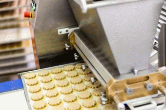 کدام فولادها برای صنایع مواد غذایی مناسب هستند؟