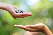 مشارکت یک میلیارد ۴۰۰میلیون تومانی مردم خراسان شمالی  در پرداخت صدقه