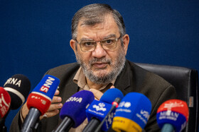 عبدالحسین روحالامینی رئیس شورای مرکزی حزب توسعه و عدالت