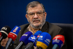 عبدالحسین روحالامینی رئیس شورای مرکزی حزب توسعه و عدالت