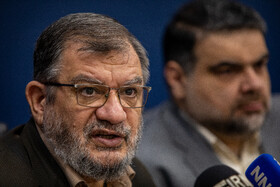 عبدالحسین روحالامینی رئیس شورای مرکزی حزب توسعه و عدالت