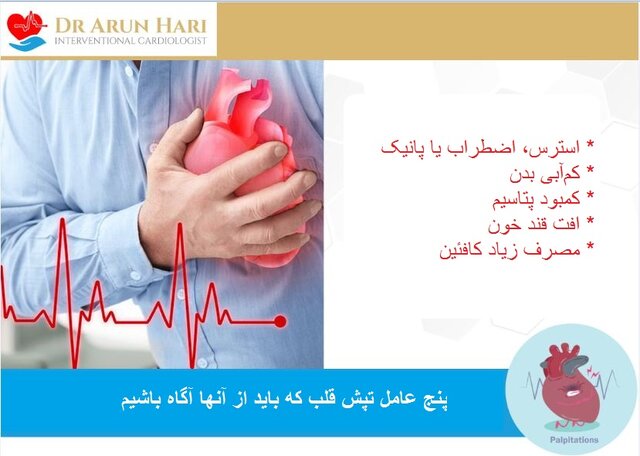 گیاهانی که قلبمان را آرام میکنند