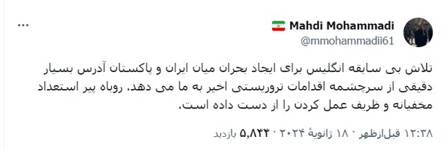 روباه پیر استعداد مخفیانه و ظریف عمل کردن را از دست داده است!