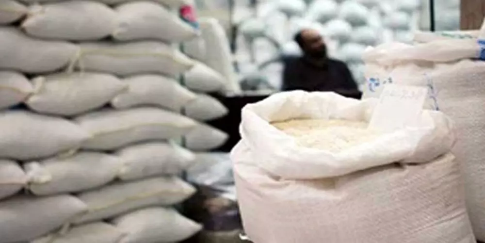 جریمه پزشک متخلف/ محکومیت مالک کشتارگاه مرغ