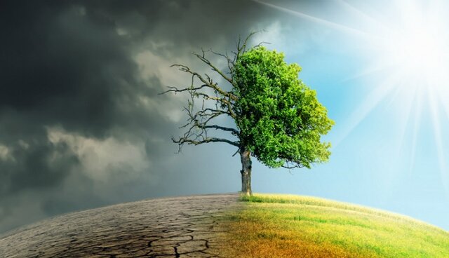 تغییر اقلیم باعث همهگیری آفات و بیماریهای نوظهور شده است تغییر اقلیم باعث همهگیری آفات و بیماریهای نوظهور شده است