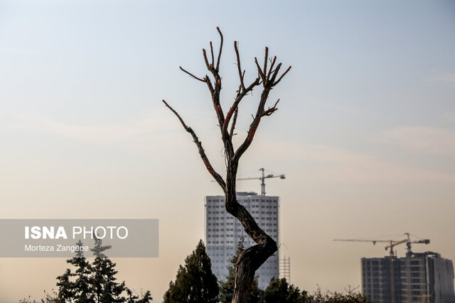 واکنش شهرداری به گزارش «مجوزهای برج‌سازی» و پاسخ ایسنا