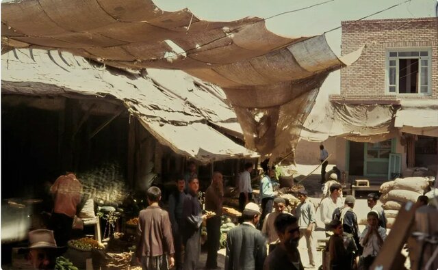 بازار سوسکی کجاست؟ بازار سوسکی کجاست؟