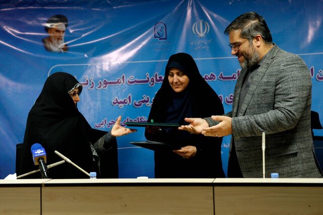 ۳۳ درصد تسهیلات پرداختی صندوق مختص بانوان بوده است ۳۳ درصد تسهیلات پرداختی صندوق مختص بانوان بوده است