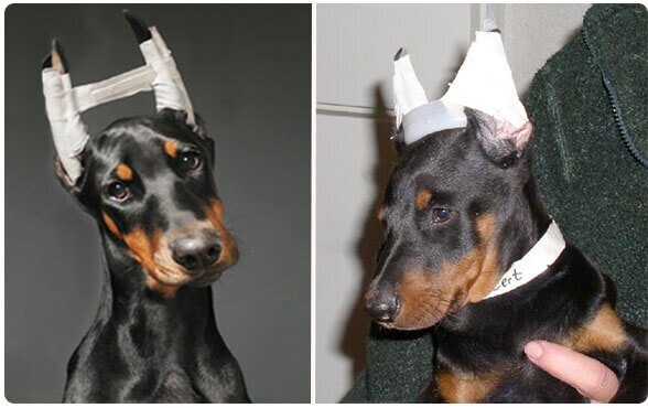 سونامی خودزشتپنداری؛ تبانی بلاگرهای اینستاگرامی و جراحان زیبایی