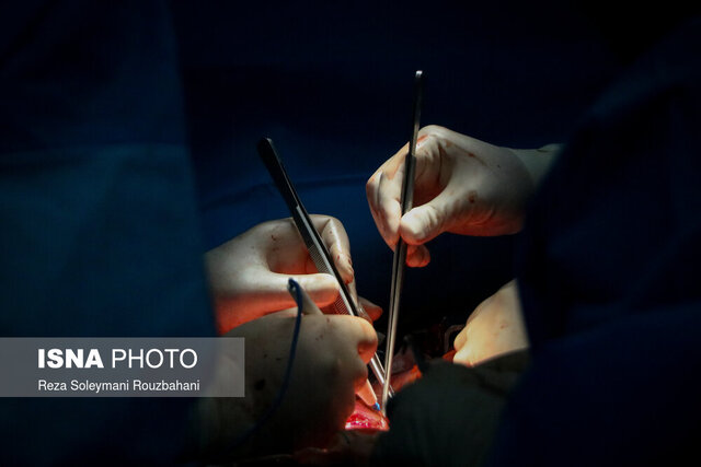 بیش از ۸ میلیون نفر در کشور دارای کارت اهدای عضو هستند