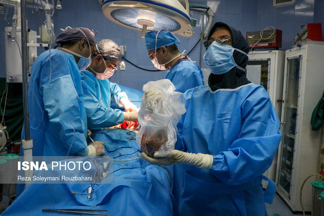 بیش از ۸ میلیون نفر در کشور دارای کارت اهدای عضو هستند